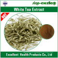 Extracto de té blanco natural